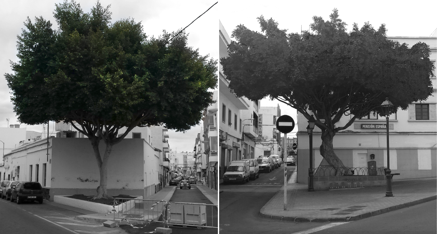260828_BIOESQUINAS_01